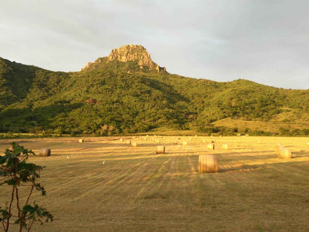 Okra Villa Kenting Exteriör bild